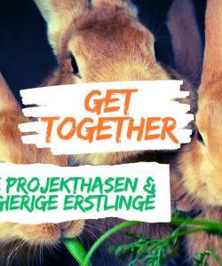 Get together – alte Projekthasen & neugierige Erstlinge